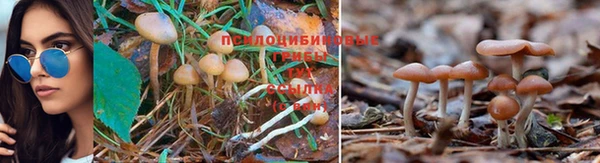 кокаин VHQ Алексин