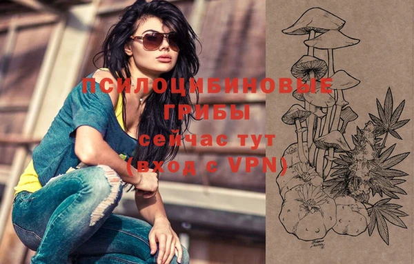 MDMA Premium VHQ Краснослободск